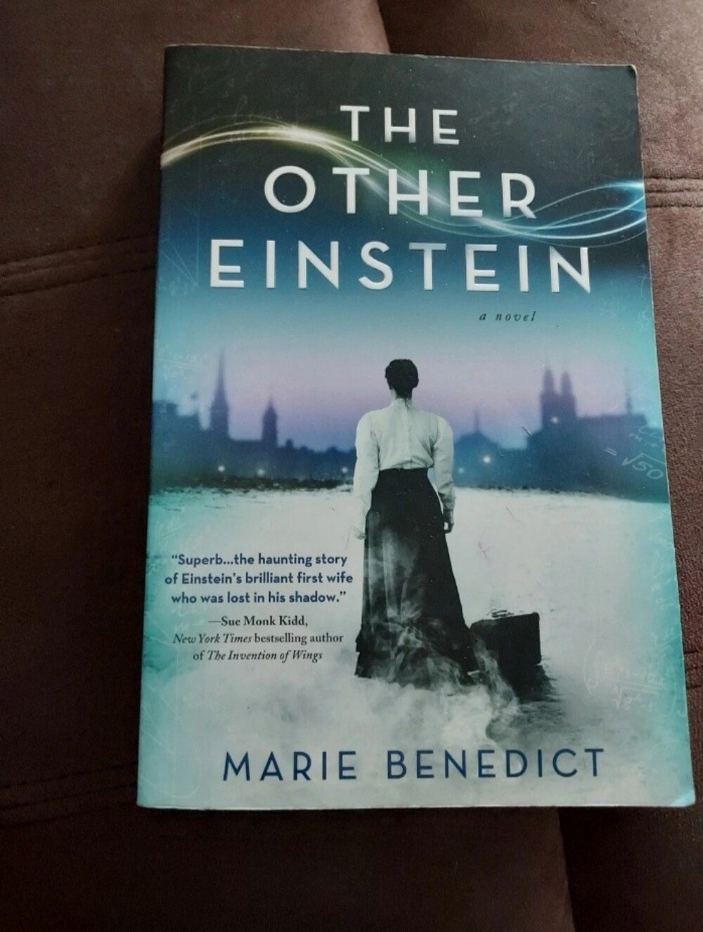 The Other Einstein Paperback Book
